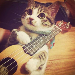 市来美保最大发射量
