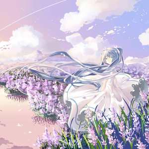 市来美保最大发射量
